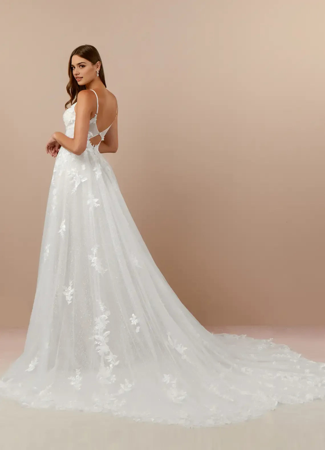 Elegant Spaghetti Strap A-Line V-Neck Lace Tulle Wedding Dress Sheer Tulle Fabric Floral Embroidery Plunging Ball Gown Silhouette Train