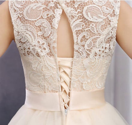 Beautiful Champagne Tulle Party DressCute Short Prom Dress Homecoming Dresses