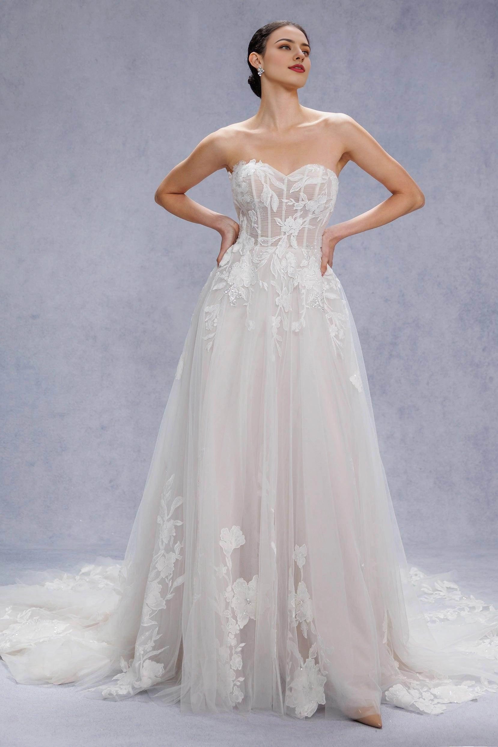 Court Train Lace Tulle Wedding Dress