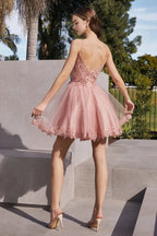 Elegant Light Blue Tulle Homecoming Dress with Spaghetti Straps Floral Lace Appliqué Bodice Flared Skirt for Prom Nights