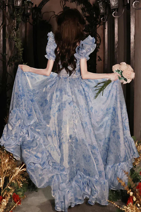 Romantic A-Line Sweetheart Floral-Printed Light Blue Organza Prom Dresses