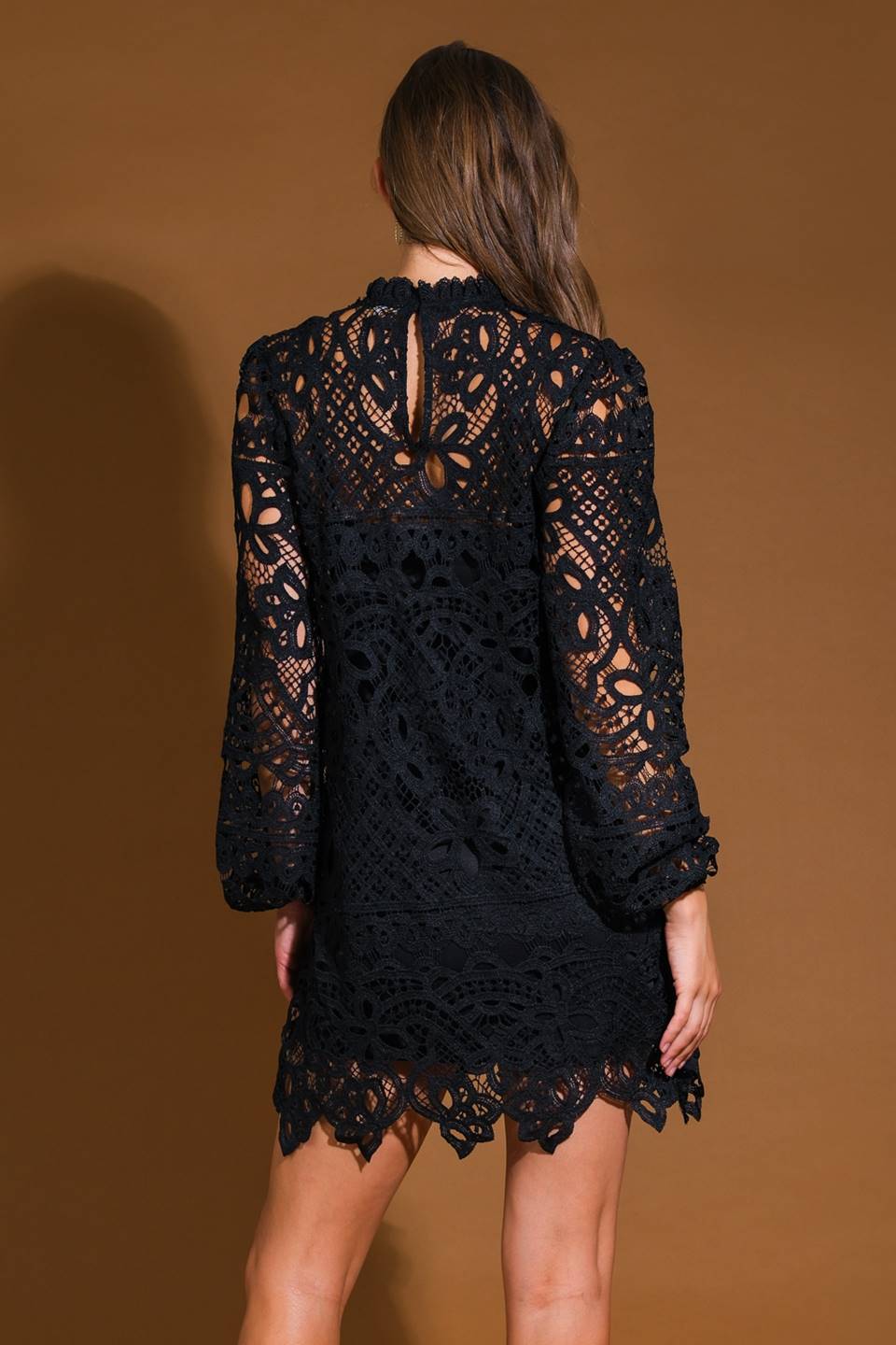 DingJiDress November December Wedding Guest Dress Woven Lace Mini Dress Featuring High Neckline Long Sleeve Back Neck Button Closure Formal Party Dress