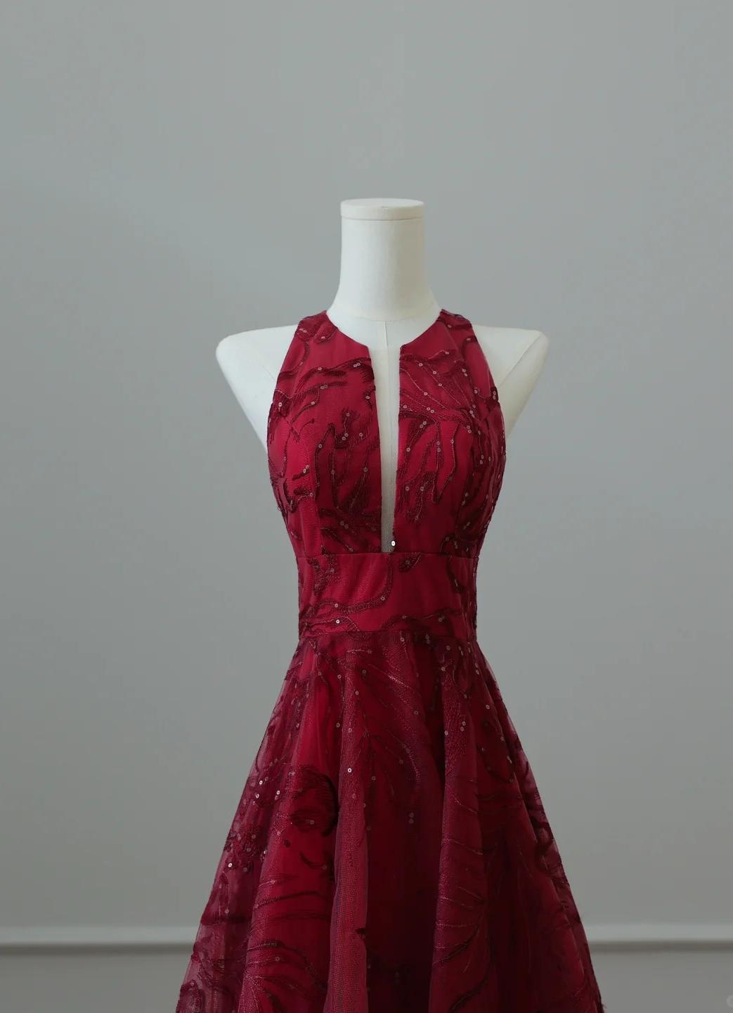Elegant Red Round Neck A-Line Tulle Hi-Lo Prom Dresses Formal Evening Gowns