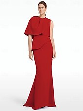 Mermaid / Trumpet Evening Gown Elegant Dress Formal Wedding Floor Length Sleeveless Jewel Neck Champagne Mother Of the Bride Dress Stretch Crepe with Shawl